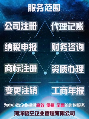 專業(yè)資深會計代理記賬;做賬本app可查出錯賠付