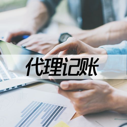 上海閔行老閔行代理記賬一般納稅人記賬報稅財務(wù)代理代賬公司