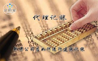 代理記賬 新老公司應(yīng)如何進行建賬